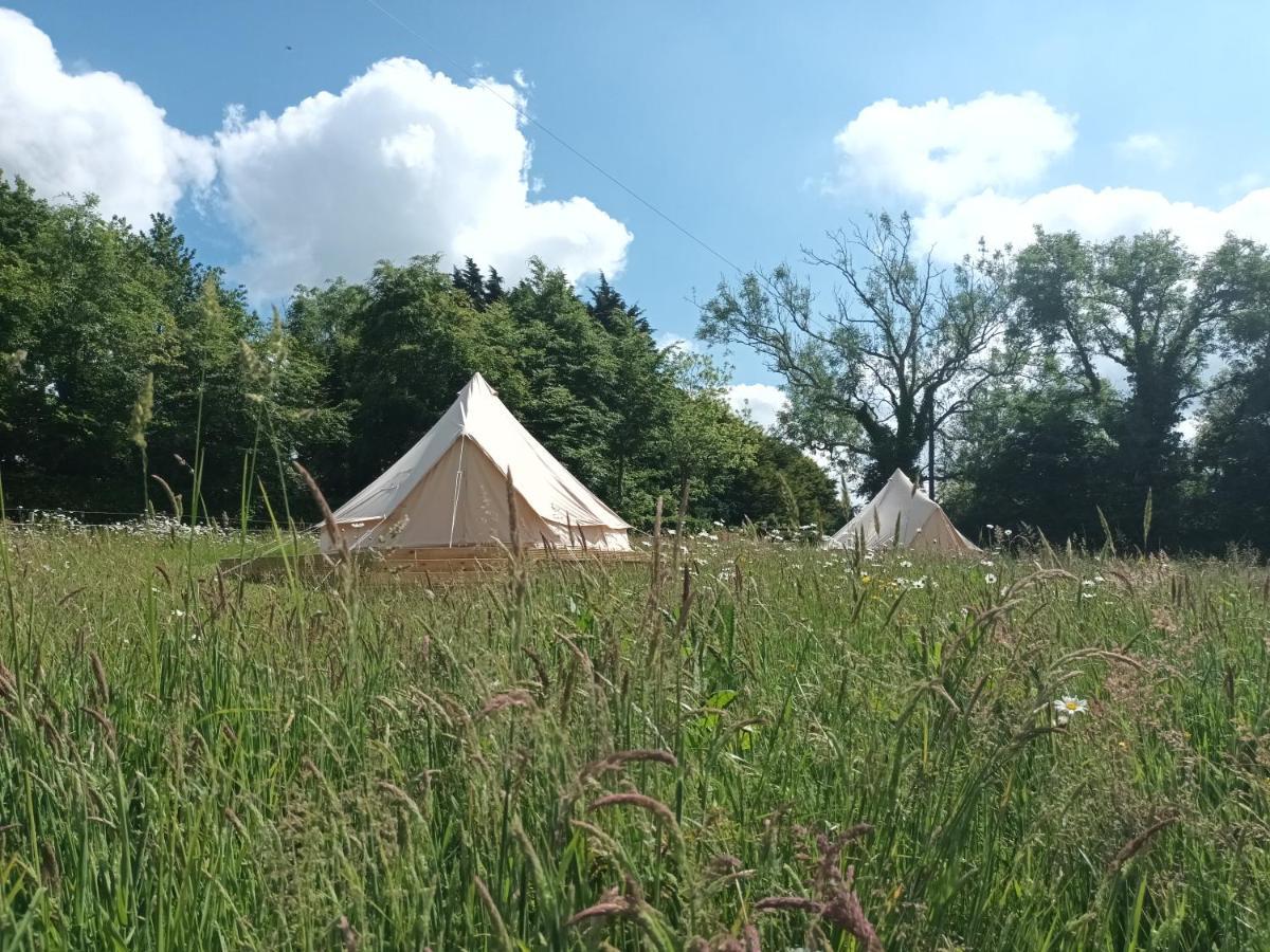 Ferry House Holidays New Ross Quarto foto