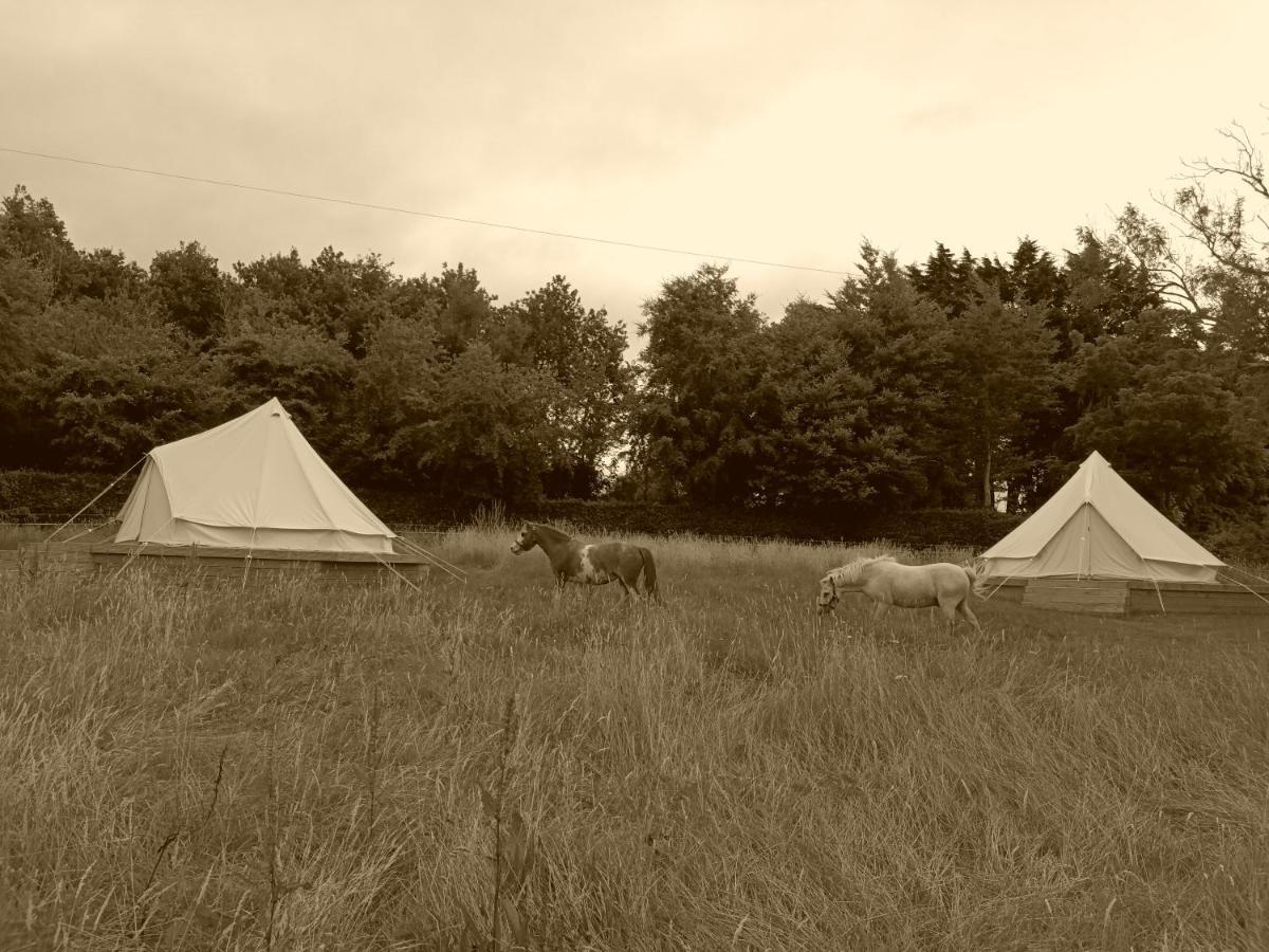 Ferry House Holidays New Ross Quarto foto